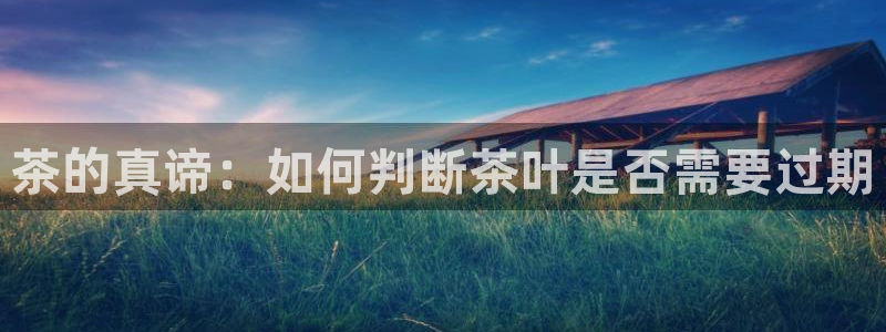 鸿运游戏直播平台