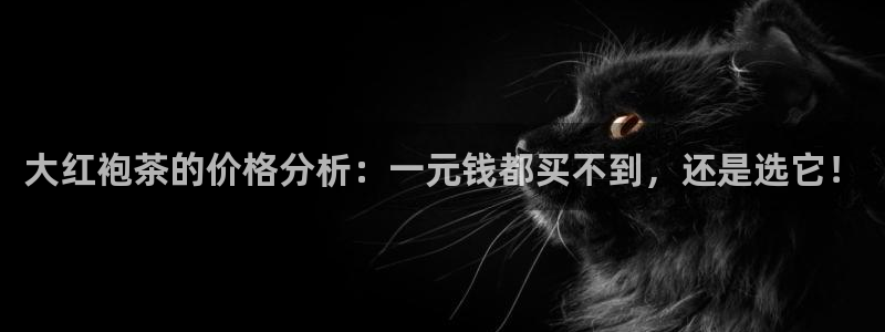 鸿运策略股票平台