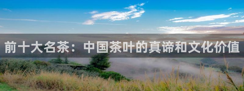 鸿运国际平台平台怎么样