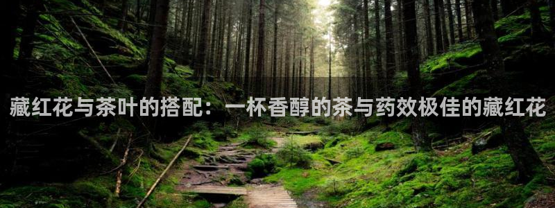 鸿运团队赚钱平台