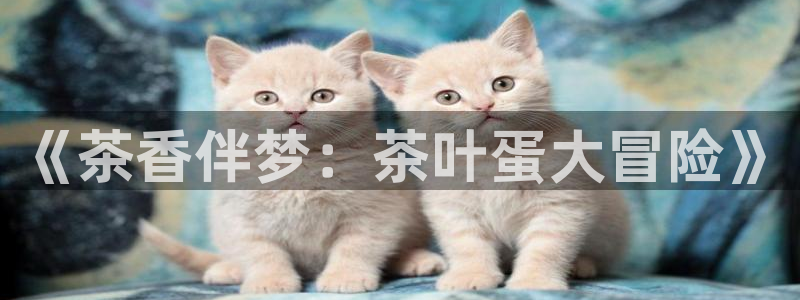 鸿运链锁管理平台