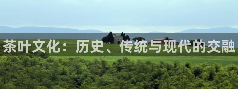 鸿运满堂平台