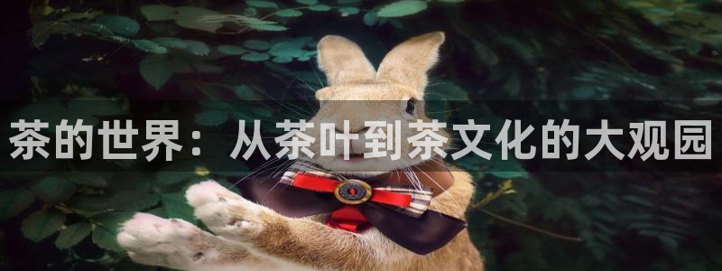 鸿运合拍是什么平台