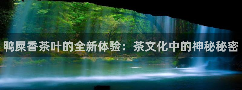 鸿运平台在线客服