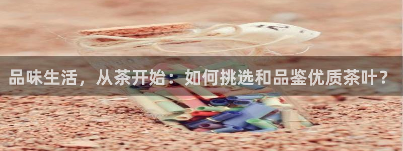 鸿运平台代理