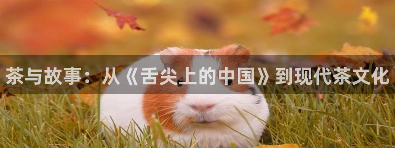 鸿运直播平台ios下载