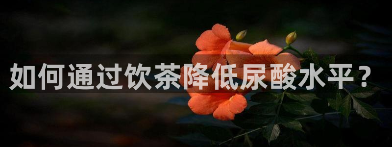 长鸿运营平台