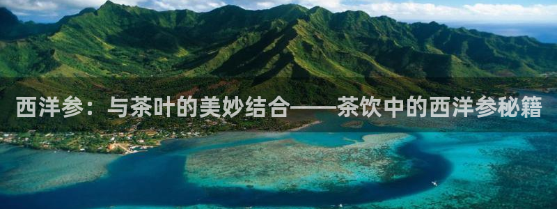鸿运误乐平台