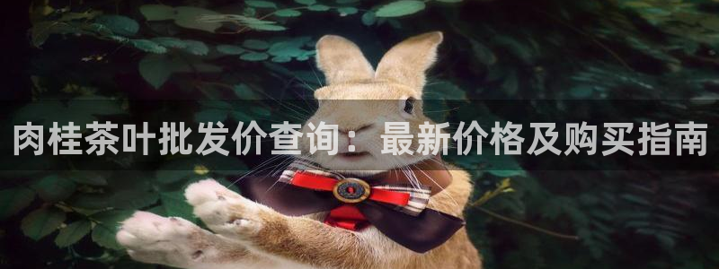 鸿运平台代理平