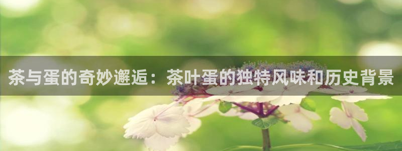 琥珀鸿运平台怎样赚钱的