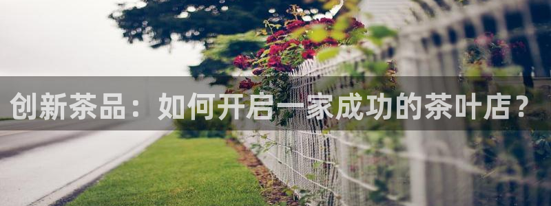 鸿运国际是什么游戏平台