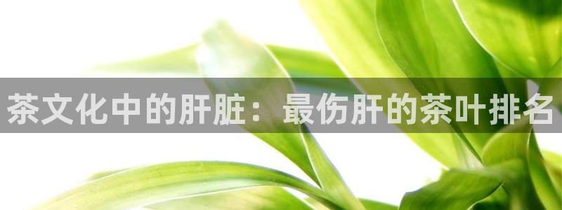怎么进鸿运彩票平台