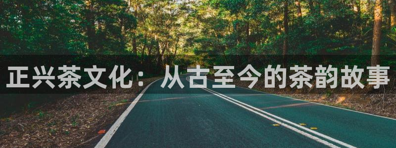 鸿运九九平台