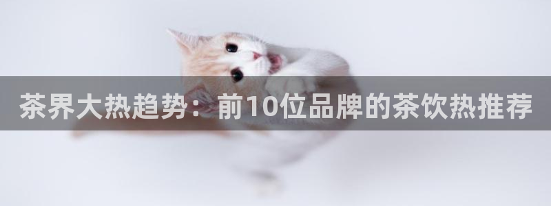 正规鸿运国际平台