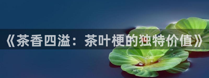 鸿运平台