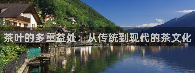 琥珀鸿运平台推广码