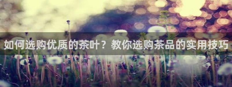 鸿运彩票注册平台