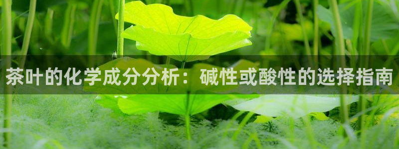 鸿运国际黑平台