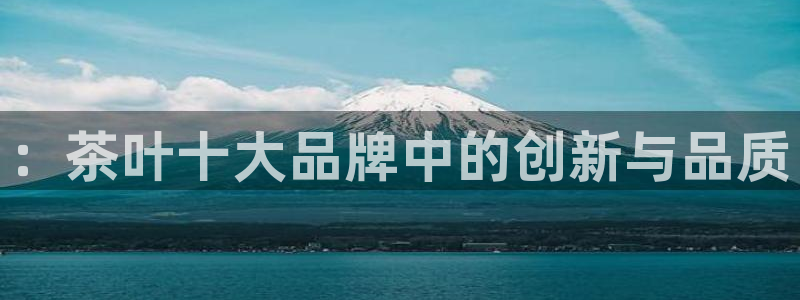 鸿运平台代理代