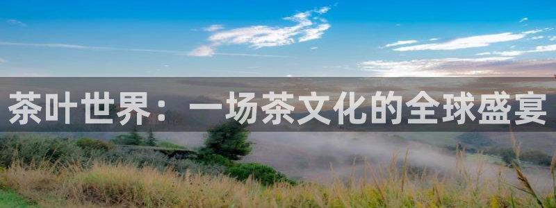 鸿运投资平台