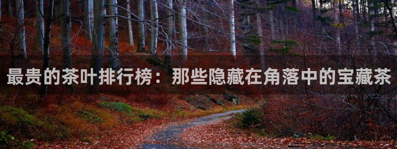 鸿运彩票平台带玩
