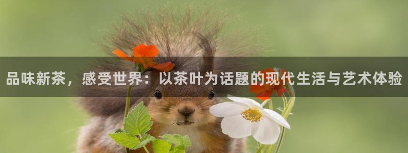 鸿运是黑平台吗