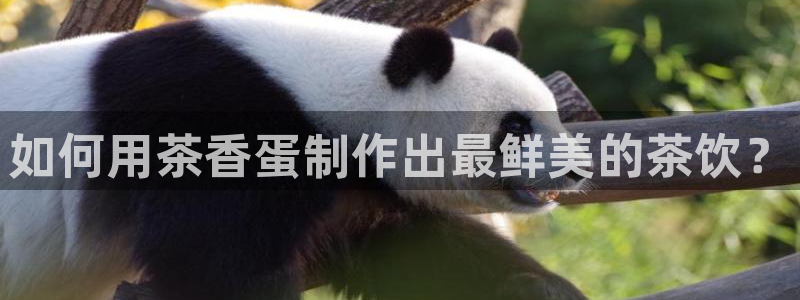 鸿运平台兼职招聘