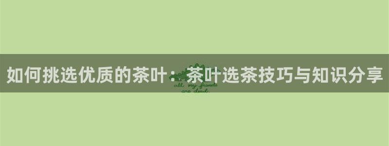 鸿运牛骨服务平台