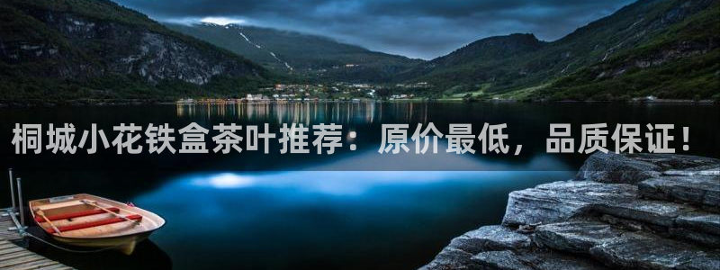 鸿运公司有哪些平台