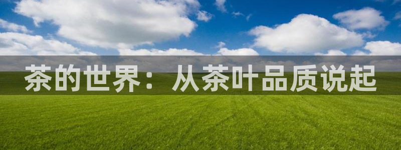 鸿运平台试玩