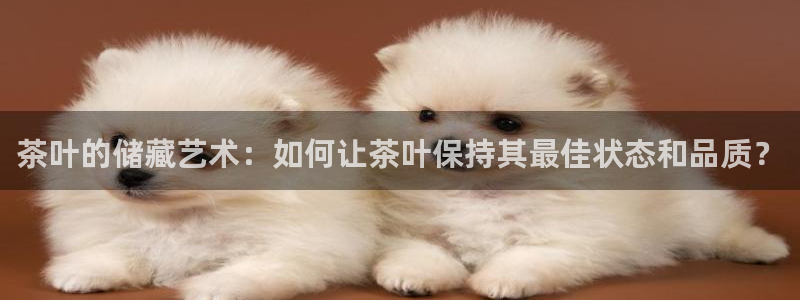 鸿运直播平台安卓版
