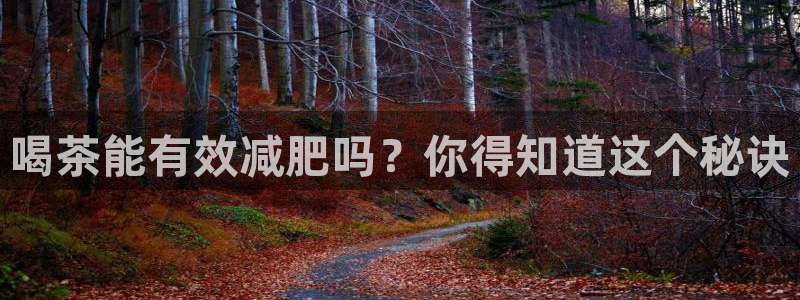 鸿运借款是什么平台