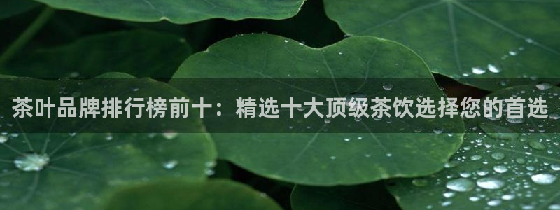 鸿运平台台