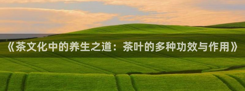 鸿运平台代理鸿运
