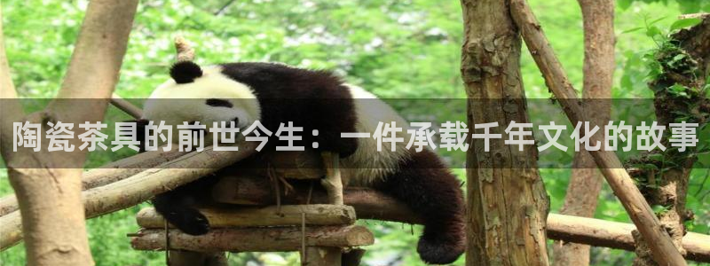 鸿运网登录平台