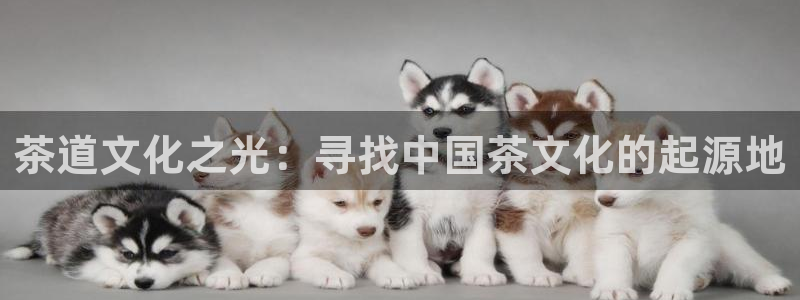 鸿运卡盟登录平台