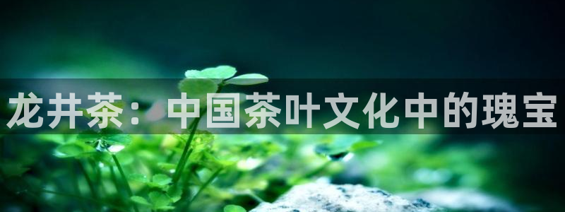 鸿运彩票平台注册