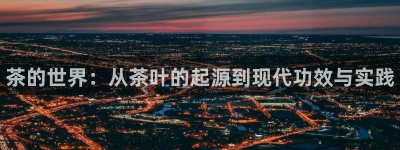 鸿运彩票平台登录不了