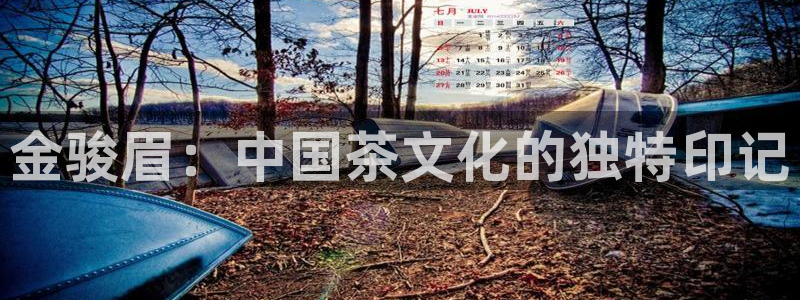 鸿运官网平台登录