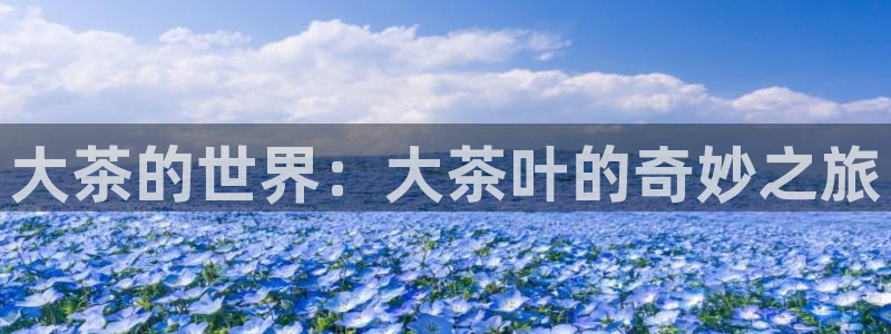 鸿运最新平台下载