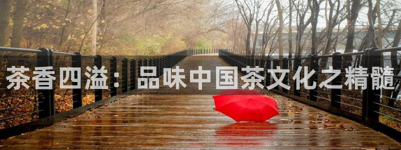 鸿运购彩平台app