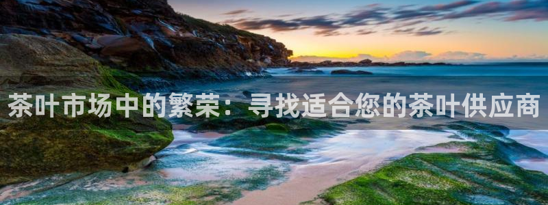 鸿运当头贷款平台