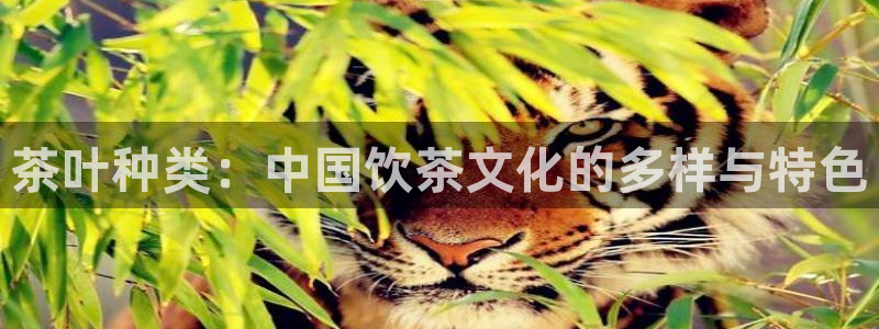 鸿运卡盟登录平台