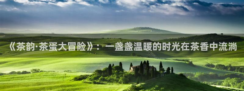 鸿运棋牌app游戏平台