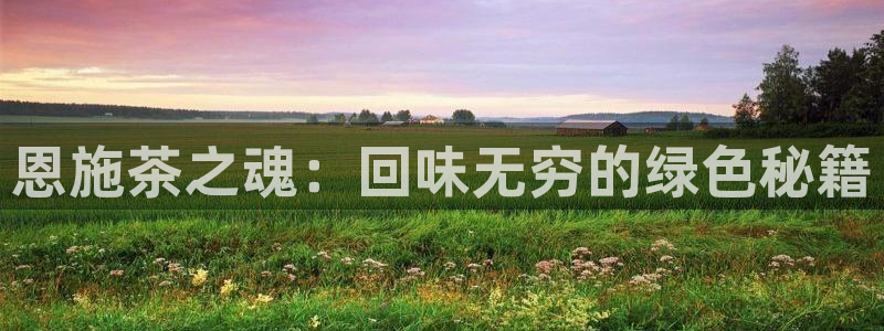 鸿运通平台客服