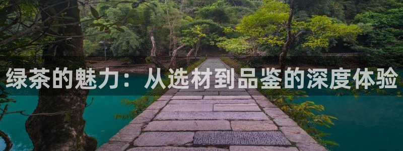 鸿运彩票平台的网址