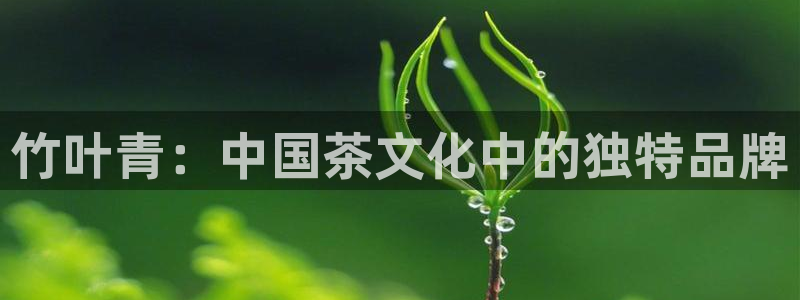 琥珀鸿运是啥平台