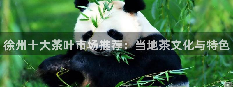 鸿运当头网贷平台