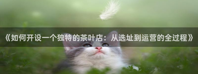 鸿运服务平台是什么