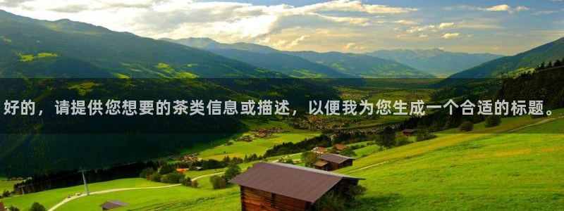 鸿运注册平台闪电